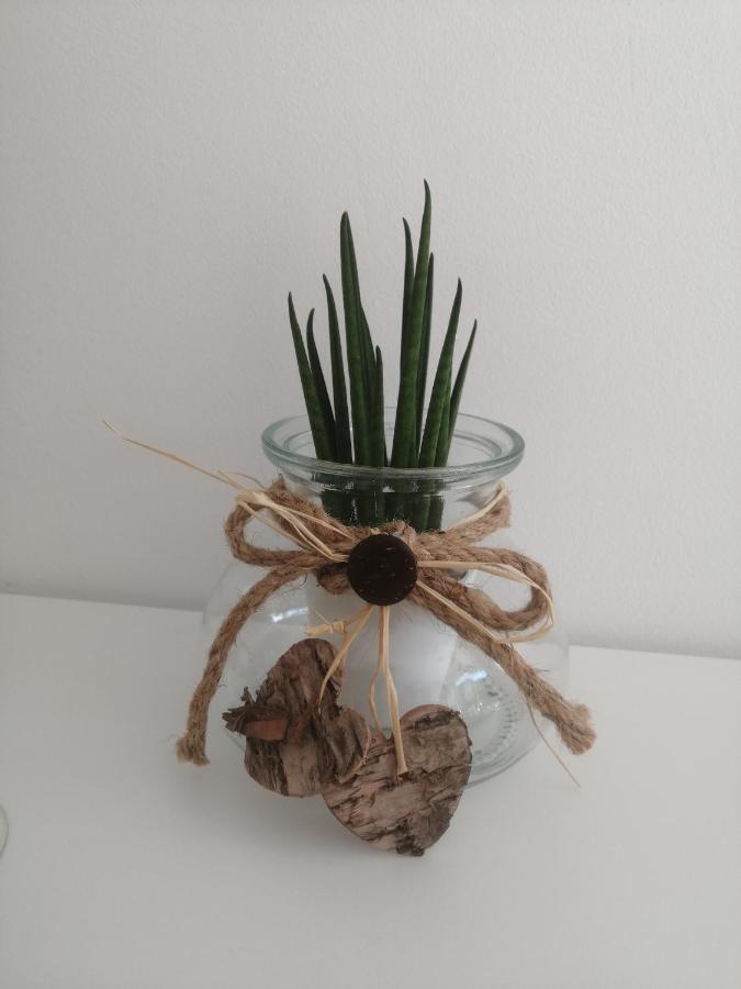 Apartma Pinea Portorož Dış mekan fotoğraf