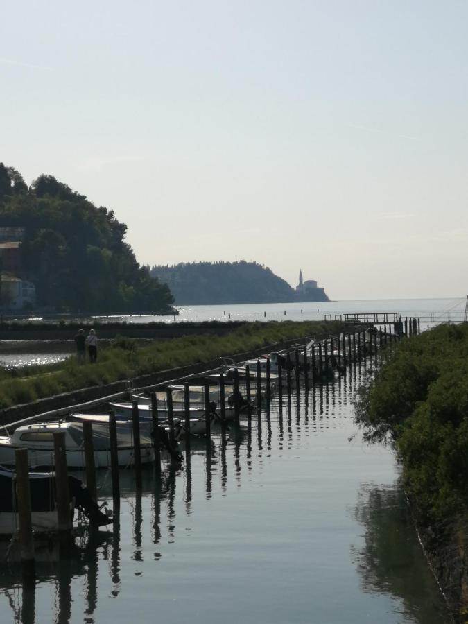 Apartma Pinea Portorož Dış mekan fotoğraf