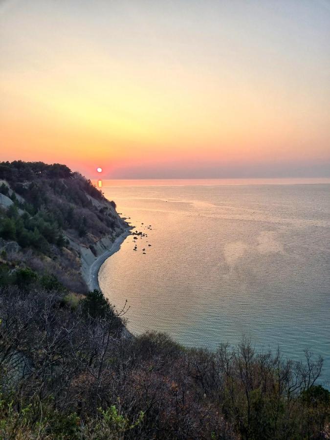 Apartma Pinea Portorož Dış mekan fotoğraf