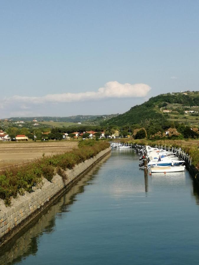 Apartma Pinea Portorož Dış mekan fotoğraf